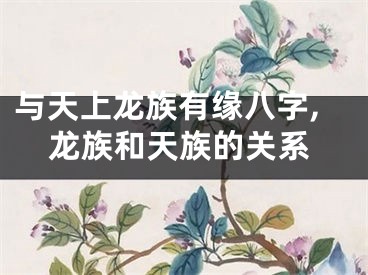 与天上龙族有缘八字,龙族和天族的关系