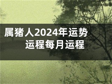 属猪人2024年运势运程每月运程