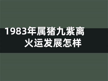 1983年属猪九紫离火运发展怎样