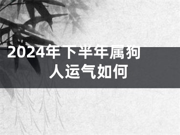2024年下半年属狗人运气如何