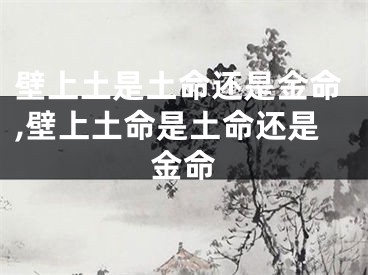 壁上土是土命还是金命,壁上土命是土命还是金命