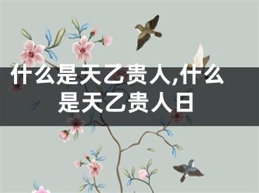 什么是天乙贵人,什么是天乙贵人日