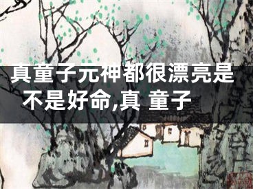 真童子元神都很漂亮是不是好命,真 童子