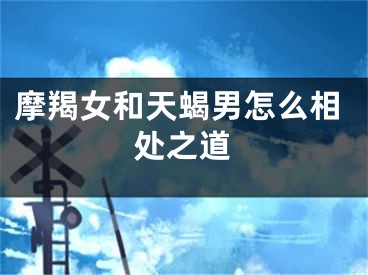 摩羯女和天蝎男怎么相处之道