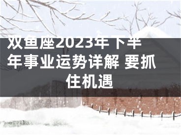 双鱼座2023年下半年事业运势详解 要抓住机遇