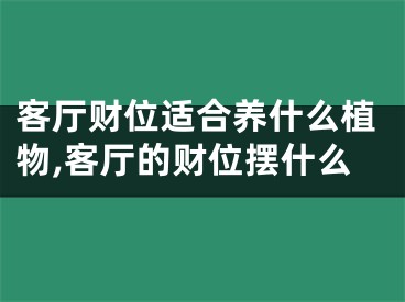客厅财位适合养什么植物,客厅的财位摆什么