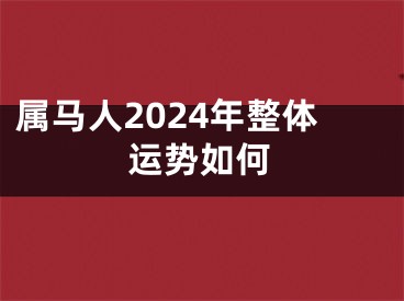 属马人2024年整体运势如何