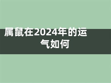 属鼠在2024年的运气如何