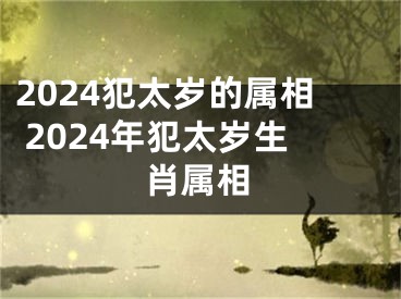 2024犯太岁的属相 2024年犯太岁生肖属相