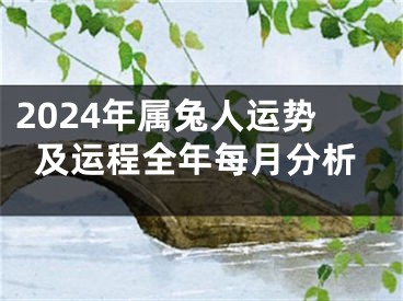2024年属兔人运势及运程全年每月分析