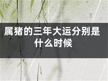 属猪的三年大运分别是什么时候
