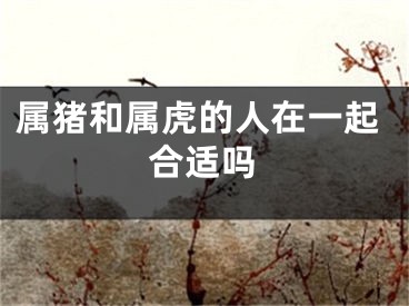 属猪和属虎的人在一起合适吗