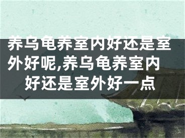 养乌龟养室内好还是室外好呢,养乌龟养室内好还是室外好一点