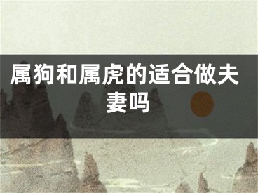 属狗和属虎的适合做夫妻吗