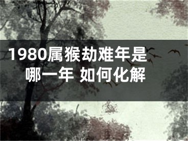 1980属猴劫难年是哪一年 如何化解