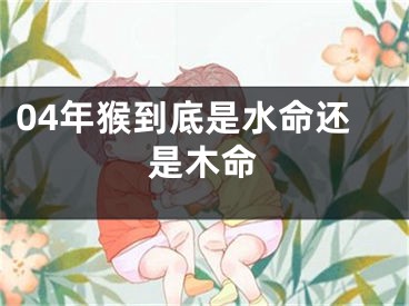 04年猴到底是水命还是木命