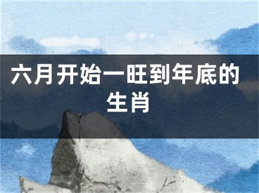 六月开始一旺到年底的生肖