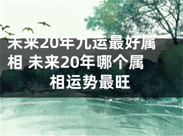 未来20年九运最好属相 未来20年哪个属相运势最旺