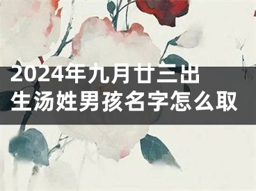 2024年九月廿三出生汤姓男孩名字怎么取