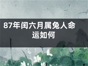 87年闰六月属兔人命运如何