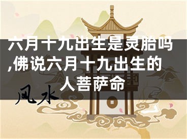 六月十九出生是灵胎吗,佛说六月十九出生的人菩萨命