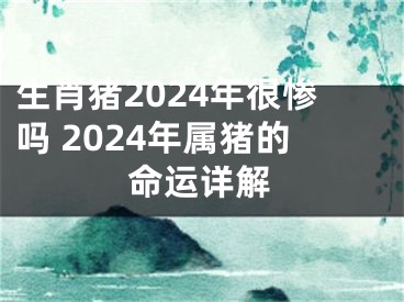 生肖猪2024年很惨吗 2024年属猪的命运详解