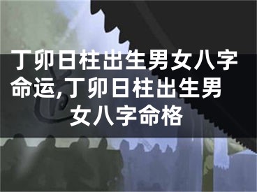 丁卯日柱出生男女八字命运,丁卯日柱出生男女八字命格