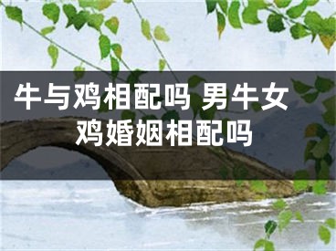牛与鸡相配吗 男牛女鸡婚姻相配吗