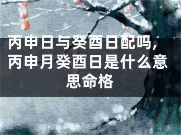 丙申日与癸酉日配吗,丙申月癸酉日是什么意思命格