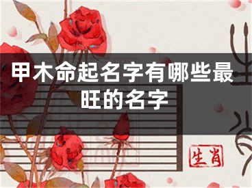 甲木命起名字有哪些最旺的名字