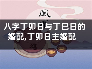 八字丁卯日与丁巳日的婚配,丁卯日主婚配