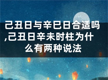己丑日与辛巳日合适吗,己丑日辛未时柱为什么有两种说法
