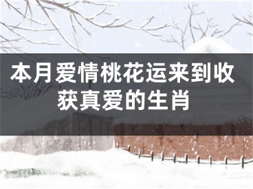 本月爱情桃花运来到收获真爱的生肖