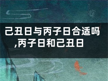 己丑日与丙子日合适吗,丙子日和己丑日