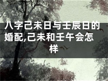 八字己未日与壬辰日的婚配,己未和壬午会怎样