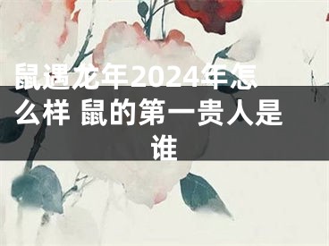 鼠遇龙年2024年怎么样 鼠的第一贵人是谁