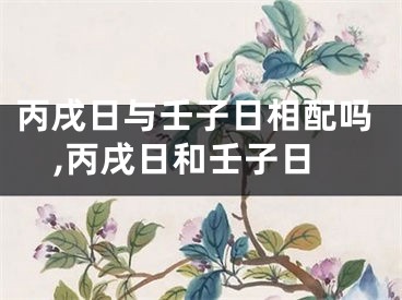 丙戌日与壬子日相配吗,丙戌日和壬子日