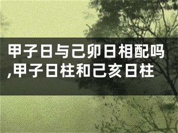 甲子日与己卯日相配吗,甲子日柱和己亥日柱