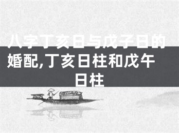 八字丁亥日与戊子日的婚配,丁亥日柱和戊午日柱
