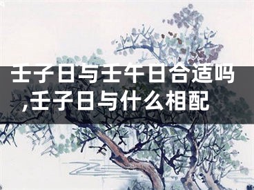 壬子日与壬午日合适吗,壬子日与什么相配