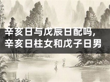 辛亥日与戊辰日配吗,辛亥日柱女和戊子日男