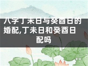 八字丁未日与癸酉日的婚配,丁未日和癸酉日配吗