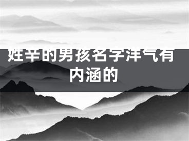 姓辛的男孩名字洋气有内涵的