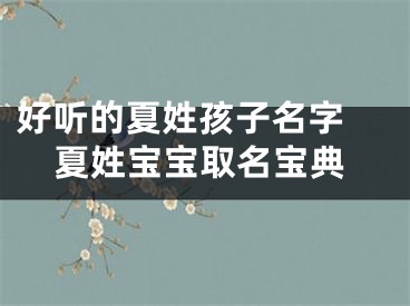 好听的夏姓孩子名字 夏姓宝宝取名宝典