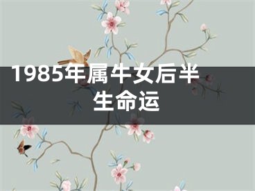 1985年属牛女后半生命运