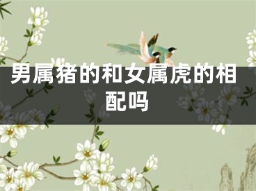 男属猪的和女属虎的相配吗
