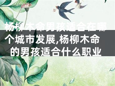 杨柳木命男孩适合在哪个城市发展,杨柳木命的男孩适合什么职业