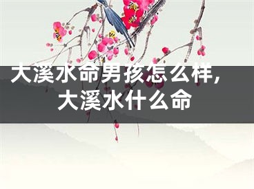 大溪水命男孩怎么样,大溪水什么命