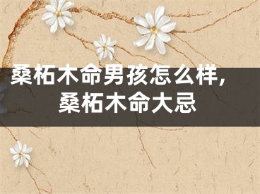 桑柘木命男孩怎么样,桑柘木命大忌