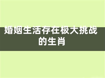 婚姻生活存在极大挑战的生肖